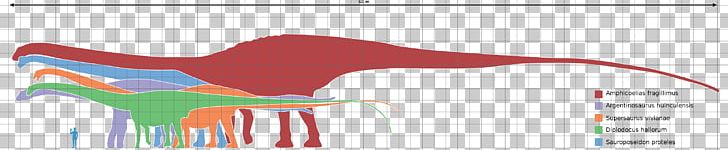 Amphicoelias Argentinosaurus Dinosaur Size Seismosaurus Supersaurus PNG, Clipart, Amphicoelias, Angle, Argentinosaurus, Bruhathkayosaurus, Diagram Free PNG Download