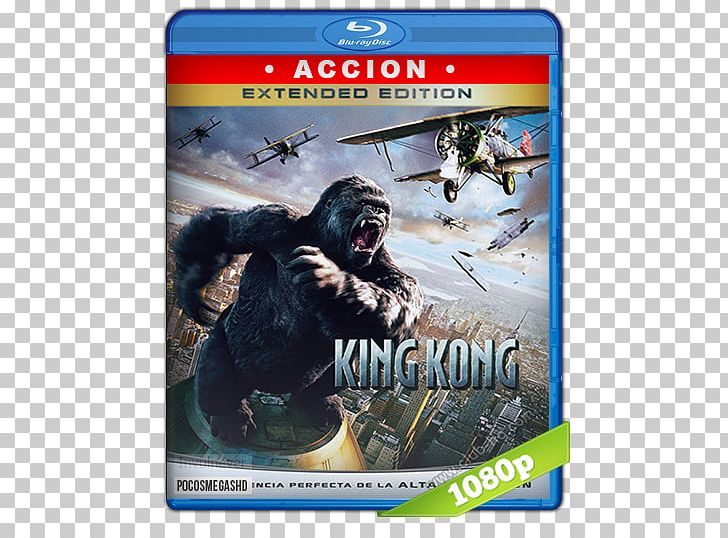 Blu-ray Disc Peter Jackson's King Kong Film DVD PNG, Clipart,  Free PNG Download