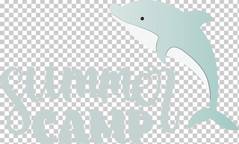 Summer Camp Summer Camp PNG, Clipart, Camp, Dolphin, Fish, Logo, Summer Free PNG Download