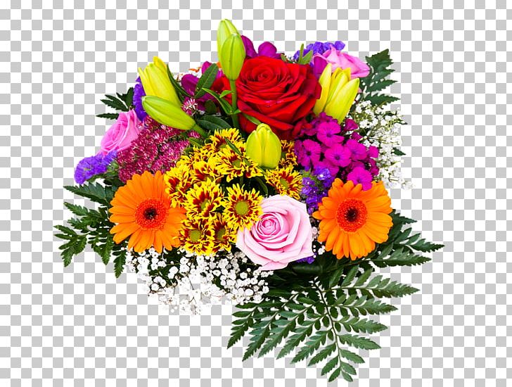 Flower Telugu Night PNG, Clipart, Annual Plant, Chrysanths, Cut Flowers, Desktop Wallpaper, Download Free PNG Download