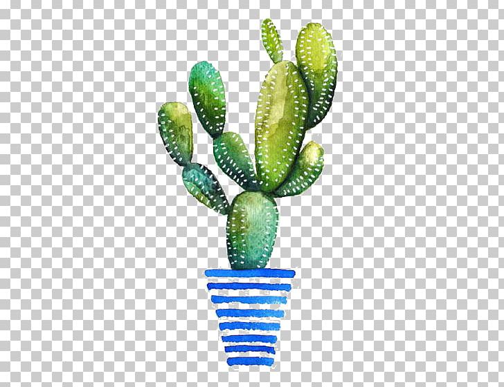 Watercolor Painting Cactaceae Drawing Succulent Plant PNG, Clipart, Art Museum, Botanical Illustration, Cactus, Cactus, Cactus Cartoon Free PNG Download