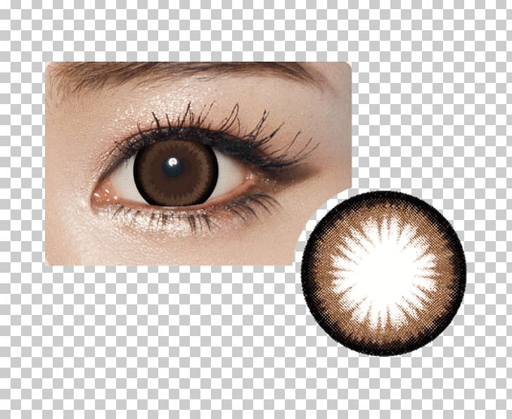 Circle Contact Lens Contact Lenses Brown Eye PNG, Clipart, Blue, Brown, Circle Contact Lens, Closeup, Color Free PNG Download