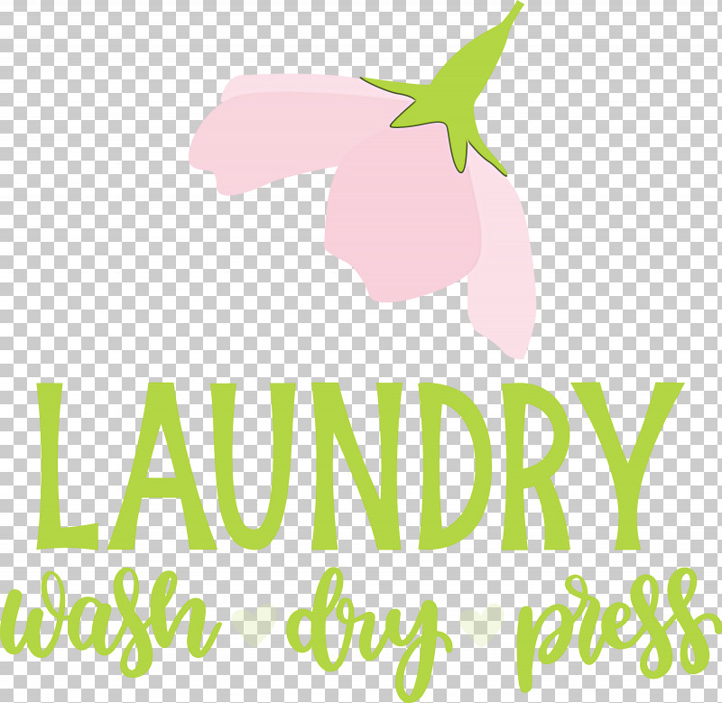 Laundry Wash Dry PNG, Clipart, Dry, Flower, Green, Laundry, Leaf Free PNG Download
