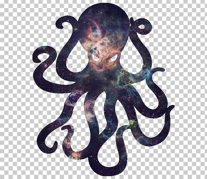 Octopus Wall Decal Sticker Logo PNG, Clipart, Blink, Blink 182, Bumper Sticker, Cephalopod, Curled Octopus Free PNG Download