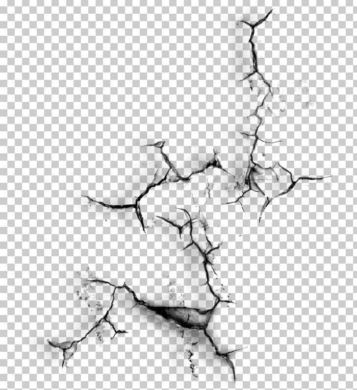 Scratte PNG, Clipart, Arm, Art, Artwork, Black And White, Branch Free PNG Download