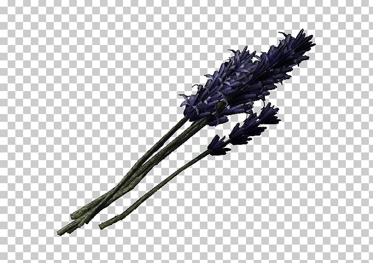 The Elder Scrolls V: Skyrim Magicka English Lavender Ingredient Cooking PNG, Clipart, Alchemy, Band, Cable, Category, Cooking Free PNG Download