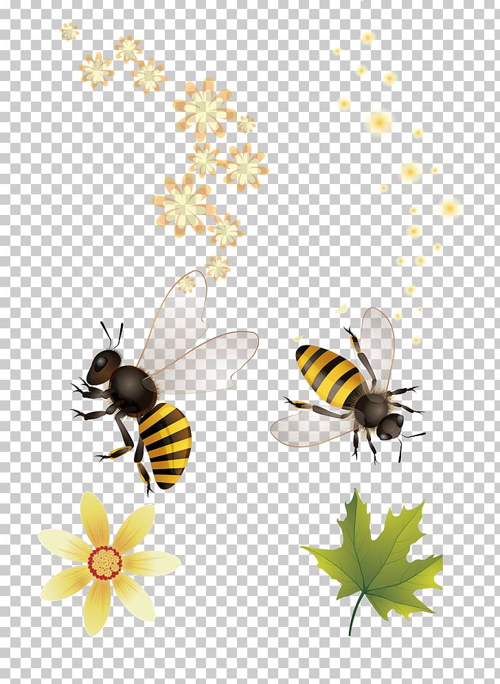 Honey Bee Apidae Nectar PNG, Clipart, Arthropod, Bee, Bees, Branch, Collecting Free PNG Download