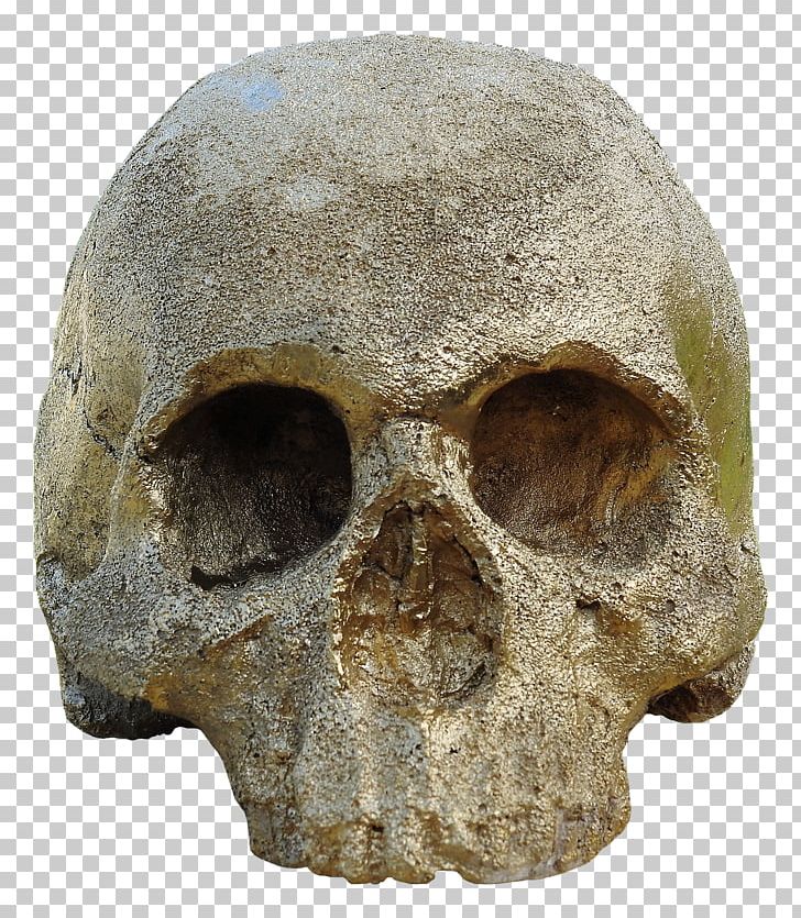 Human Skull Symbolism Skeleton Skull And Crossbones PNG, Clipart, Artifact, Bone, Fantasy, Head, Human Skull Symbolism Free PNG Download