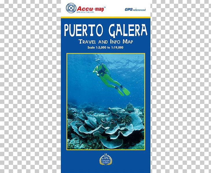 Puerto Galera Batangas International Port Road Map Accu-map PNG, Clipart, Aqua, Coral Reef, Coral Reef Fish, Divemaster, Ecosystem Free PNG Download