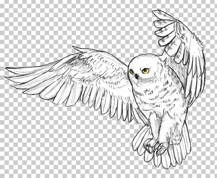 Snowy Owl Bird Great Horned Owl Drawing PNG, Clipart, Animal, Animals, Artwork, Barn Owl, Barred Owl Free PNG Download