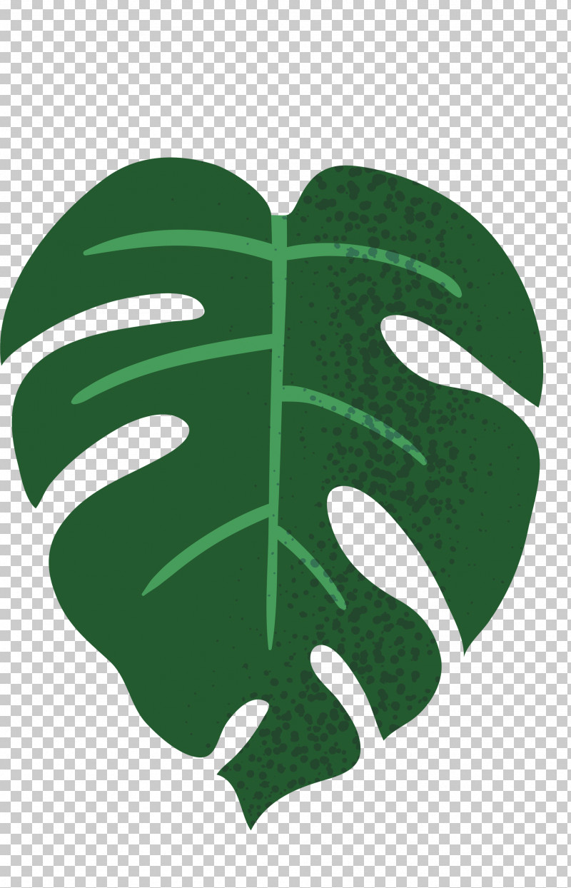 Leaf Green M-tree Font Meter PNG, Clipart, Biology, Green, Leaf, Meter, Mtree Free PNG Download