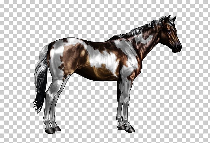 American Paint Horse Mane Appaloosa Pony Overo PNG, Clipart, Appaloosa, Equine Coat Color, Horse, Horse Harness, Horse Like Mammal Free PNG Download