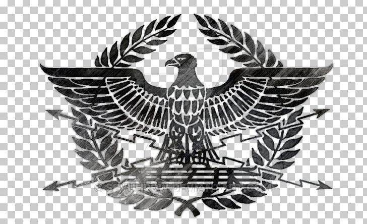 Ancient Rome Spqr Aquila Eagle T Shirt Png Clipart Ancient Rome