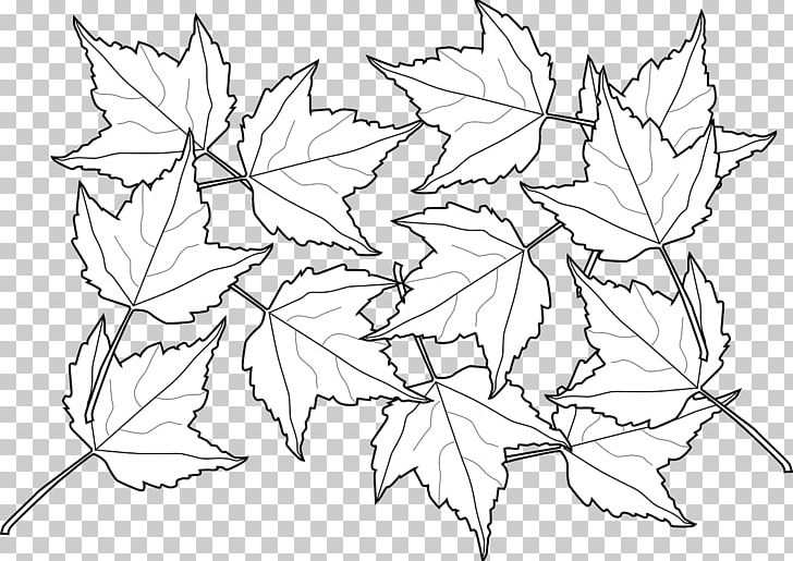 Coloring Book Autumn Leaf Color Adult Child PNG, Clipart, Adult, Area, Artwork, Autumn, Autumn Leaf Color Free PNG Download