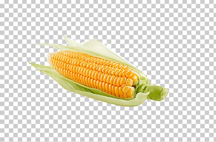 Corn On The Cob Tea Sweet Corn Food Nut PNG, Clipart, Cartoon Corn, Commodity, Corn, Corn Cartoon, Corn Flakes Free PNG Download
