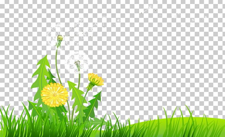 Dandelion Flower PNG, Clipart, Beautiful Dandelion, Beautiful Girl, Beauty, Beauty Salon, Beauty Vector Free PNG Download