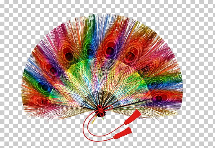 Peafowl Feather Hand Fan PNG, Clipart, Adobe Illustrator, Animals, Colour, Colour Fan, Decorative Fan Free PNG Download