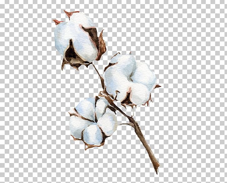 Remember Happiness Photographie Photography PNG, Clipart, Branch, Career Portfolio, Cotton, Cut Flowers, Depositphotos Free PNG Download