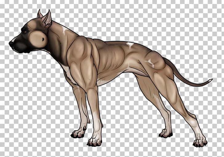 American Pit Bull Terrier Thai Ridgeback Dog Breed Bulldog PNG, Clipart, American Pit Bull Terrier, Breed, Bulldog, Bull Terrier, Carnivoran Free PNG Download