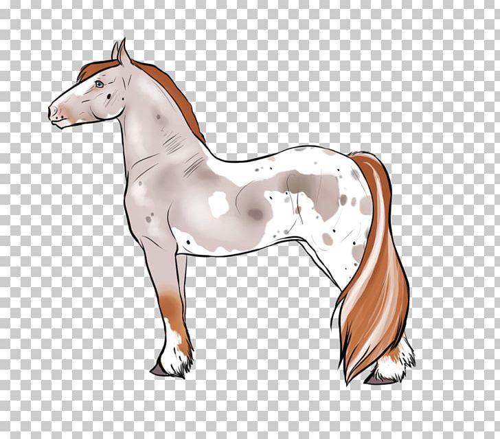 Foal Mare Mustang Halter Stallion PNG, Clipart,  Free PNG Download