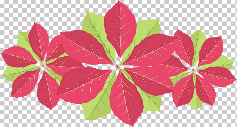 Leaf Pink Flower Plant Petal PNG, Clipart, Flower, Leaf, Magenta, Petal, Pink Free PNG Download