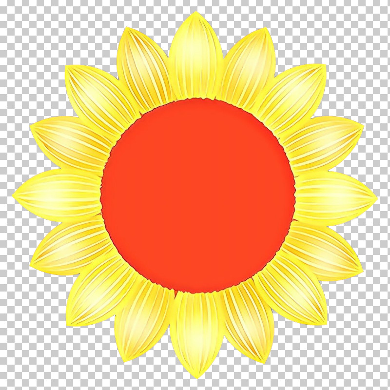 Sunflower PNG, Clipart, Circle, Daisy Family, Flower, Gerbera, Petal Free PNG Download