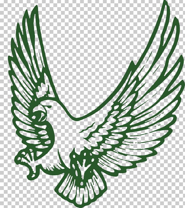 Catholic School Falcon Bird PNG, Clipart, Animals, Beak, Bird, Black And White, Catholicism Free PNG Download