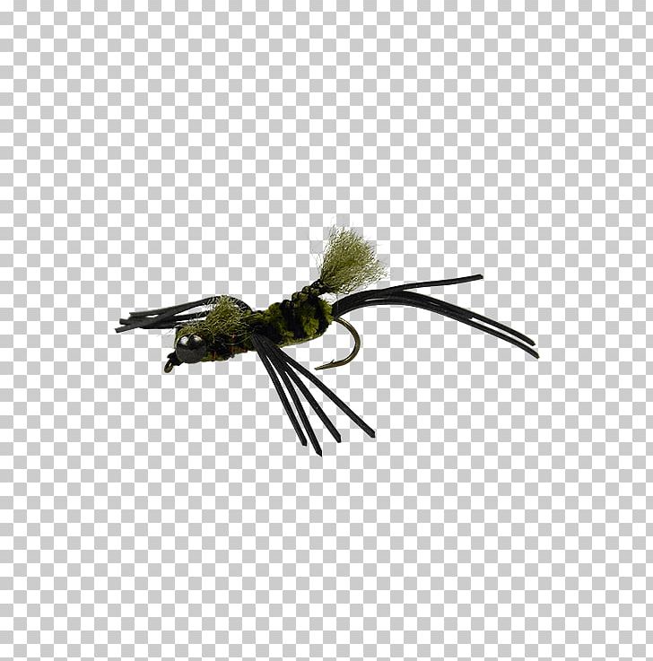 Crayfish Bass Fresh Water Fly Fishing Insect PNG, Clipart, Bass, Crayfish, Fishing, Fly, Fly Fishing Free PNG Download