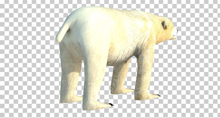 Polar Bear Indian Elephant Wildlife Snout PNG, Clipart, Animal, Animal Figure, Animals, Bear, Carnivoran Free PNG Download