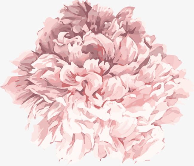 Cartoon Hand Painted Watercolor Light Pink Peony Flower PNG, Clipart, Cartoon, Cartoon Clipart, Cartoon Peony Flower, Flower, Flowers Free PNG Download