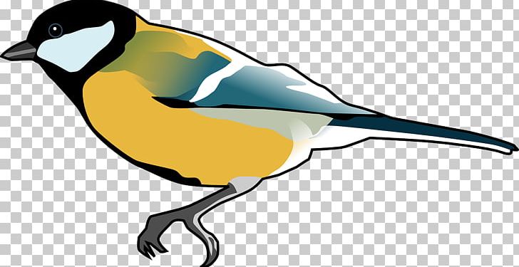 European Goldfinch Bird PNG, Clipart, American, Artwork, Beak, Birds, Chickadee Free PNG Download