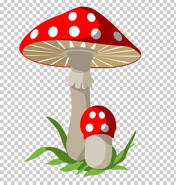 Mushroom Poisoning Fungus PNG, Clipart, Amanita, Artwork, Can Stock Photo, Common Mushroom, Encapsulated Postscript Free PNG Download