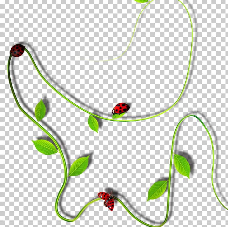 Plant Vine PNG, Clipart, Apartment, Area, Body Jewelry, Circle, Decoration Free PNG Download