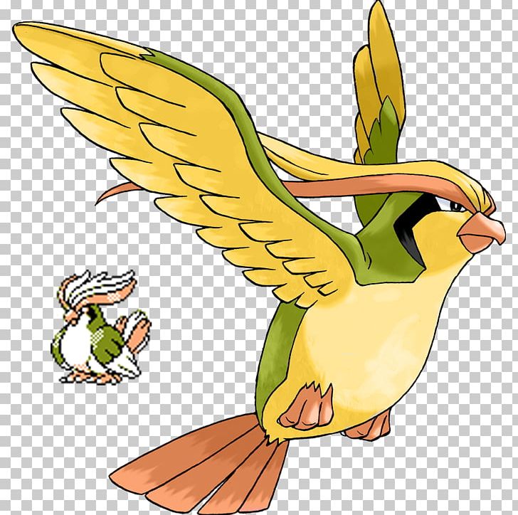 Pokémon GO Pokémon Battle Revolution Pidgeotto PNG, Clipart, Animal Figure, Artwork, Beak, Bird, Common Pet Parakeet Free PNG Download