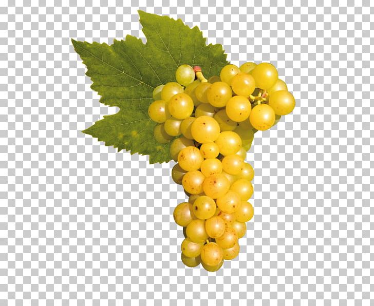 Sultana Seedless Fruit Wine Grape Superfood PNG, Clipart, Cabernet, Food, Food Drinks, Fruit, Grape Free PNG Download