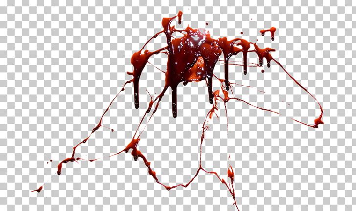 Blood PNG, Clipart, Ant, Arthropod, Branch, Computer Icons, Desktop Wallpaper Free PNG Download