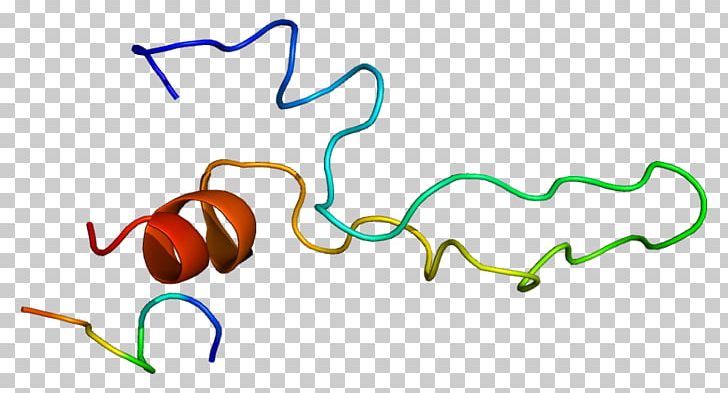 Cholecystokinin A Receptor Cholecystokinin Receptor G Protein–coupled Receptor PNG, Clipart, 1 D, 6 G, Angle, Area, Cholecystokinin Free PNG Download