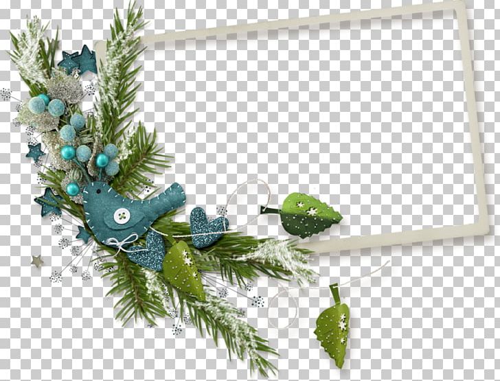 Frame Photography PNG, Clipart, Border Frame, Branch, Christmas, Christmas Decoration, Christmas Ornament Free PNG Download