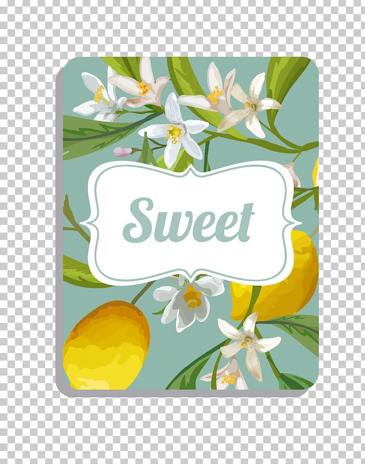 Lemon Illustration PNG, Clipart, Background, Background Vector, Download, Encapsulated Postscript, Floral Design Free PNG Download