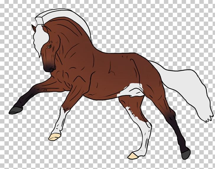 Pony Mane Foal Stallion Mustang PNG, Clipart,  Free PNG Download