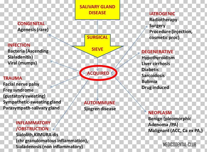Salivary Gland Pathology Salivary Gland Disorders And Diseases: Diagnosis And Management PNG, Clipart, Adrenal Gland, Adrenal Gland Disorder, Area, Brand, Diagram Free PNG Download