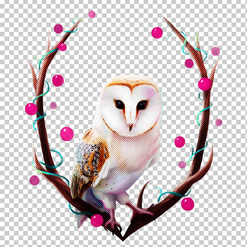 Owl Bird Branch Barn Owl Heart PNG, Clipart, Barn Owl, Bird, Bird Of Prey, Branch, Heart Free PNG Download