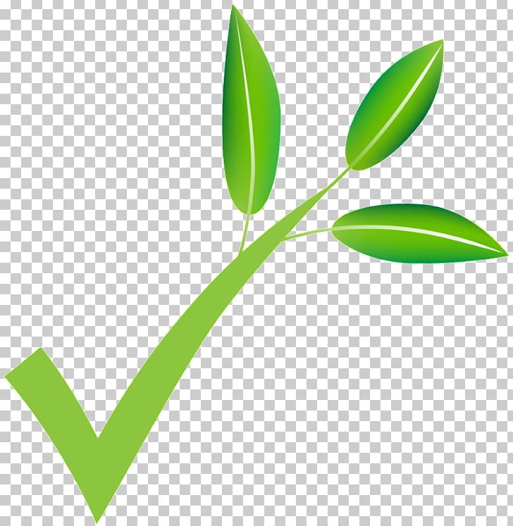 Natural Environment Patate E Cipolle Agriveneto Spa Student University PNG, Clipart, College, Grass, Grass Family, Green, Izambane Free PNG Download