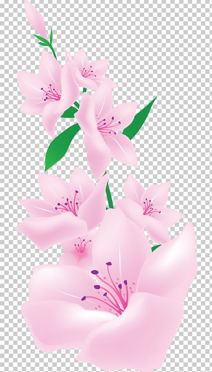 Pink Flowers PNG, Clipart, Art, Blossom, Computer Wallpaper, Deviantart, Flora Free PNG Download