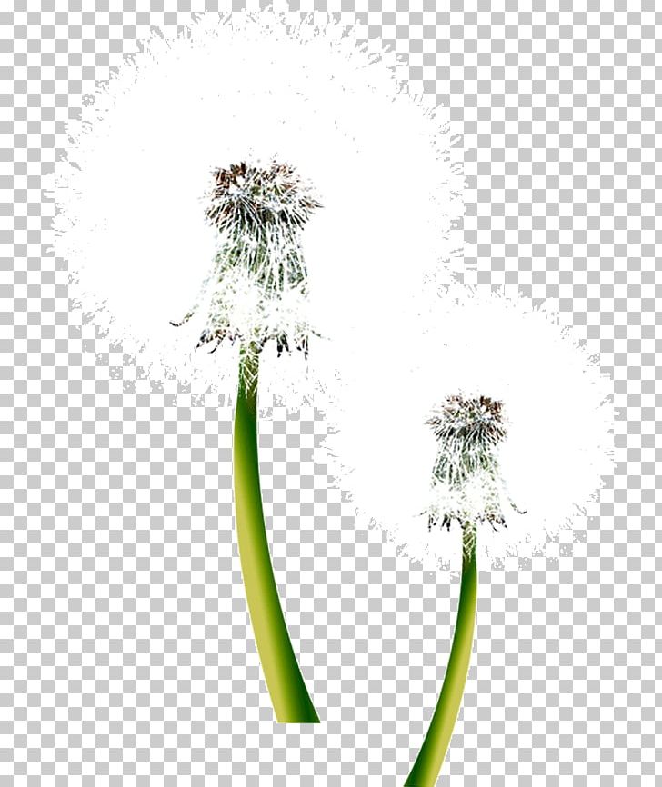Samsung Galaxy S5 Sony Xperia E Nature Android PNG, Clipart, Android, Android Application Package, Background White, Black White, Cut Flowers Free PNG Download