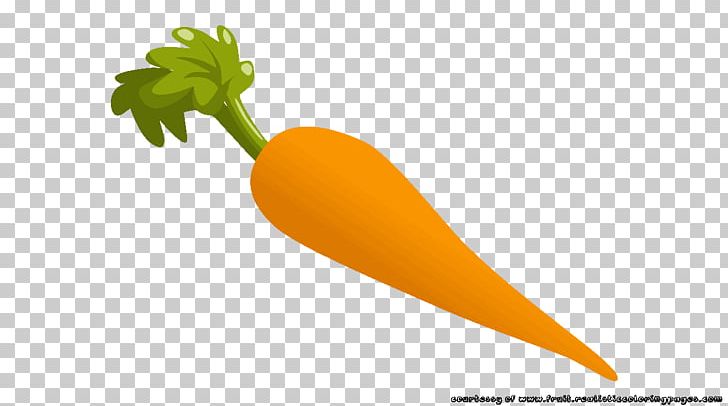 Vegetable Food Fruit PNG, Clipart, Food, Food Drinks, Fruit, Orange, Plant Free PNG Download