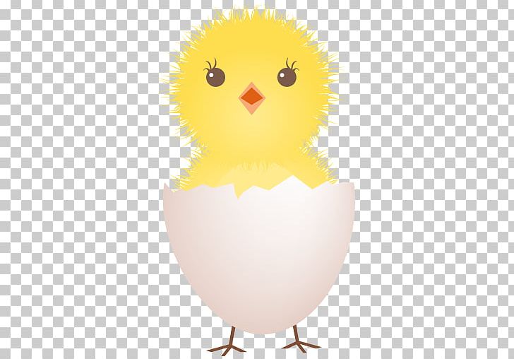 Yellow-hair Chicken Roast Chicken Chicken Meat Hot Chicken PNG, Clipart, Animals, Beak, Bird, Cartoon Chick, Chick Free PNG Download