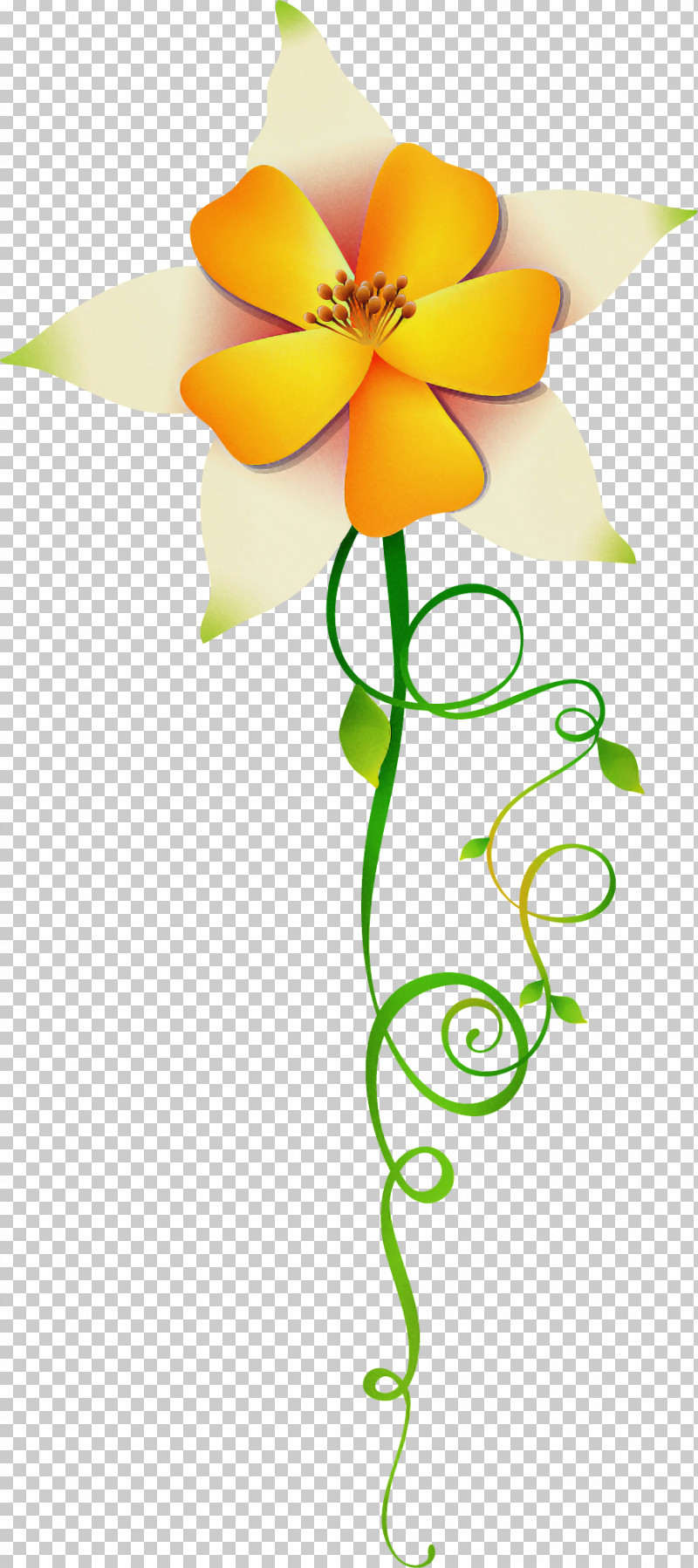 Flower Border PNG, Clipart, Cut Flowers, Flower, Flower Border, Orange, Pedicel Free PNG Download