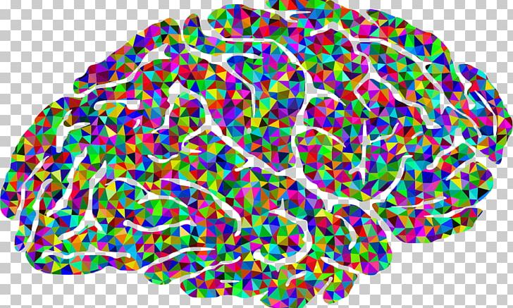 Human Brain Color PNG, Clipart, Brain, Brain Mapping, Color, Color Vision, Human Brain Free PNG Download