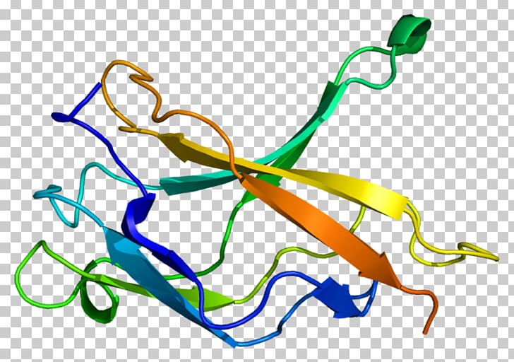 NFKB1 NF-κB HMGA2 Protein RELA PNG, Clipart, Area, Artwork, Dnabinding Domain, Gene, Hnrnpa1 Free PNG Download